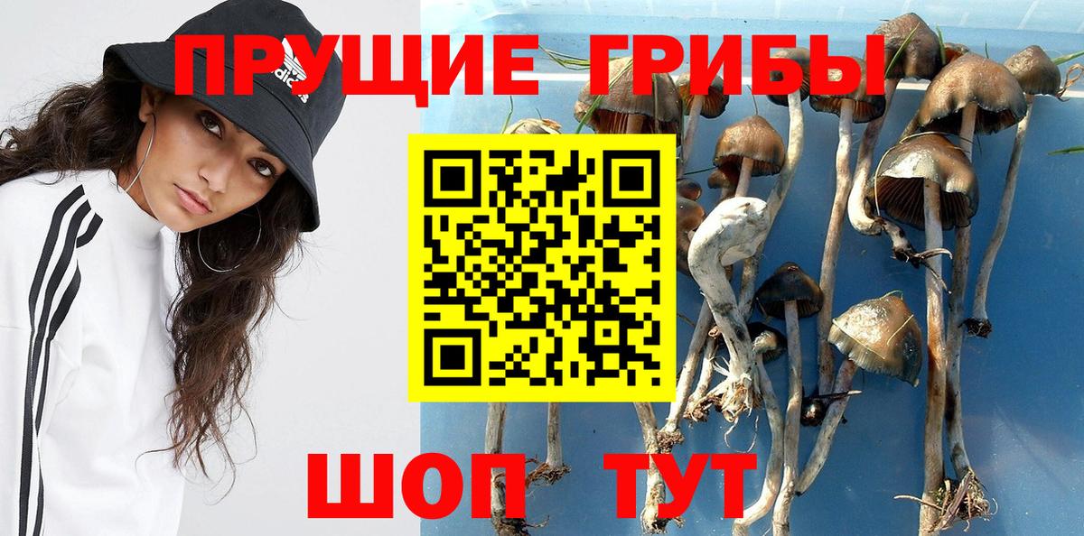 Псилоцибиновые грибы прущие грибы Азнакаево